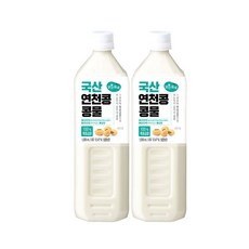 맑은물에 100 특등급콩 국산 연천콩 콩물 1000mlx2개, 2개, 1000ml