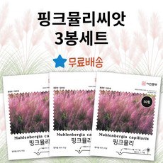 [주주씨앗] 핑크뮬리씨앗 50립 3봉세트 털쥐꼬리새 꽃씨 종자 씨앗 봄 가을 파종, 3개 3개