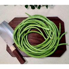 라인프렌즈케빈