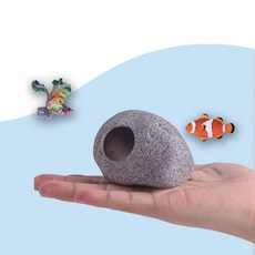 수족관장씨
