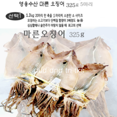 노가리파지