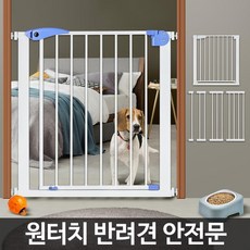 아페토안전문