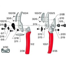 펠코100