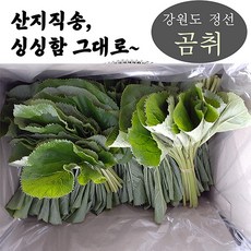 양구곰취
