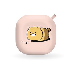 춘식이버즈케이스