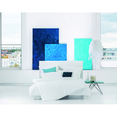 센타스타레볼루션사계절