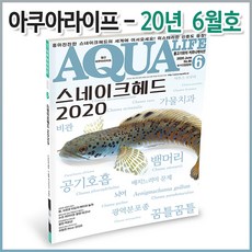 아쿠아라이프 2020년 06월호