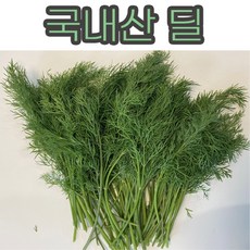 [ 국산 ] 딜 100g 1kg 허브딜 딜 딜허브 레몬딜버터 레몬딜 dill 허브딜생잎 딜위드 dillweed Dill 국산딜 국내산딜, 1개