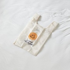 모던하우스비치백