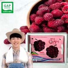 청도산딸기따기