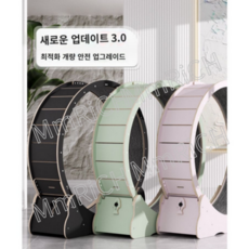 캣힐