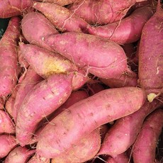 베로니카고구마