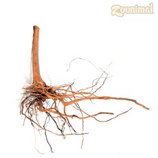 작은어항 뿌리유목소 20~30cm 어항유목 crs새우 구피 은신처 랜덤