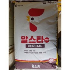 오골계병아리