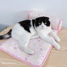 북극쿨매트
