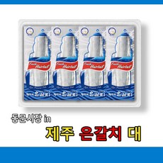 성산포은갈치
