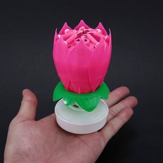 결혼식뮤지컬