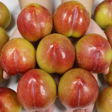 얇은 껍질 진한 향 달콤한 청송 황제 추희자두 특3kg, 없음, 1개