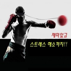 GJ 파이트볼 체력향상 챗볼 동체시력향상 복싱용품, 01.초급자용(블랙)