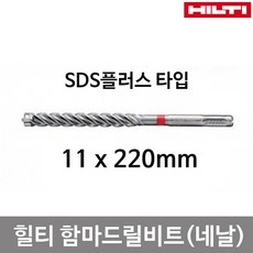 계양루터비트