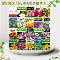 솔림텃밭몰 8월 파종 가능 꽃 야생화 씨앗 모음, 8. 수염패랭이 1000립, 1개