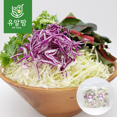 의령농산 건강채소 당일채소 당일제조 당일발송 양배추 믹스샐러드 대용량 1kg, 양배추 믹스 샐러드 1kg, 1개