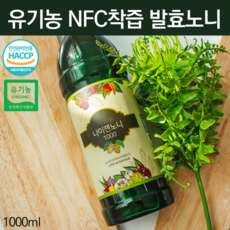 시너지노니