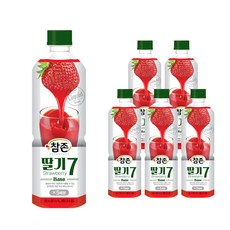 딸기쥬스기계가격