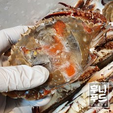연안부두꽃게가격