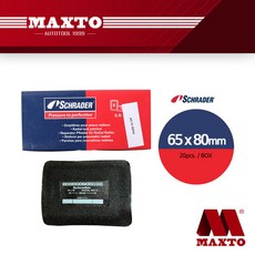 wiz750sr-110