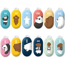 버즈대한항공케이스