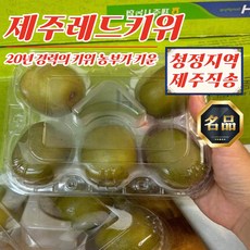 제주도 레드키위 중대과 벌크 5kg (60과 내외), 1개, 상세페이지 참조
