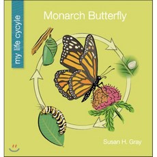 Monarch Butterfly, Cherry Lake Publishing