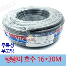빅토리보노
