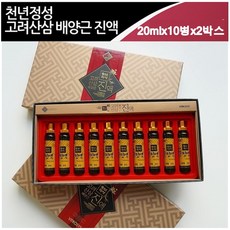 비트로시스 고려 산삼배양근 진액 엑기스 산삼액 산삼뿌리 선물세트 파는곳, 2개, 20mlx10병x2박스