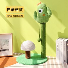 뉴모르