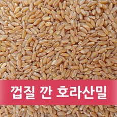 껍질 깐 호라산밀 5kg (2024년산), 1개
