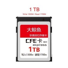 cfe메모리