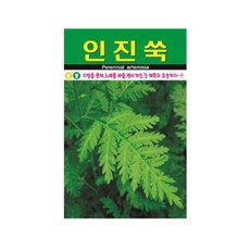 한국 인진쑥 씨앗 야생화 꽃씨 종자 품종 정원 1000립, 본품