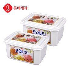 [본사직영]롯데제과 조안나 초코 5L X 2개 아이스크림