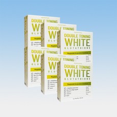 헬시플레이스 더블 토닝 화이트 글루타치온 콜라겐 비타민C 인지질 30포 6박스 6개월분