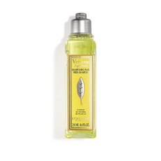 L'Occitane 시트러스 버베나 샴푸 8.4온스, 1개, 250ml - 록시땅시트러스버베나