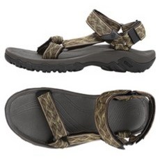 테바허리케인여성