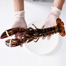 랍스터버터구이