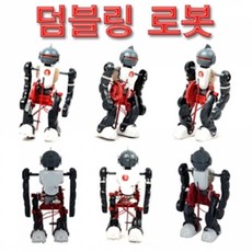 인공지능로봇만들기
