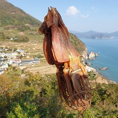 짜지않은오징어젓