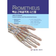 핵심근육골격계시스템