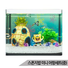 [올블루] 스펀지밥 미니어항세트(중) 스폰지밥 유리 수족관세트
