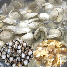국산 해감 동죽조개살 조개탕 바지락 물총조개, 1개, 동죽조개살 300g