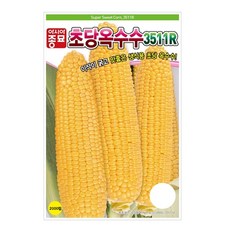 초당 옥수수 씨앗 노란옥수수 단맛 corn seed 100립
